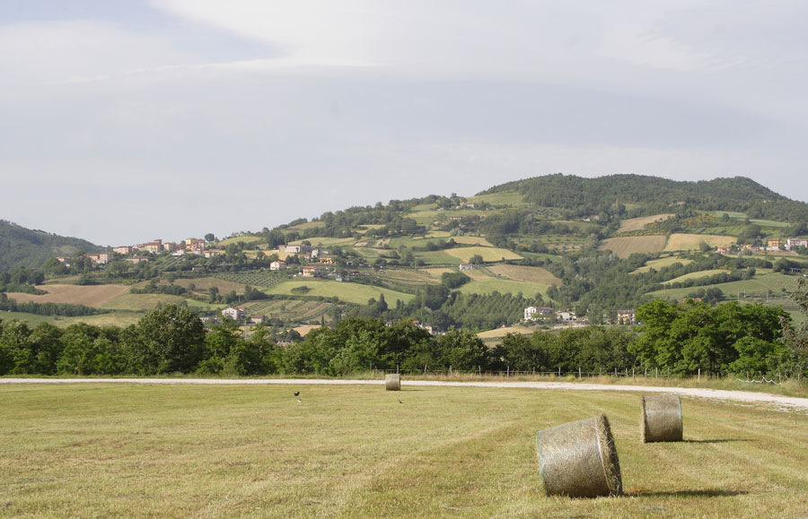 Paesaggio