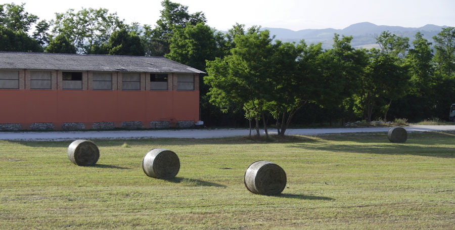 Campo anello